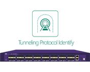 GRE PPTP PPPOE ईथरनेट पैकेट जेनरेटर टूल / डाटा सेंटर नेटवर्क मैनेजर